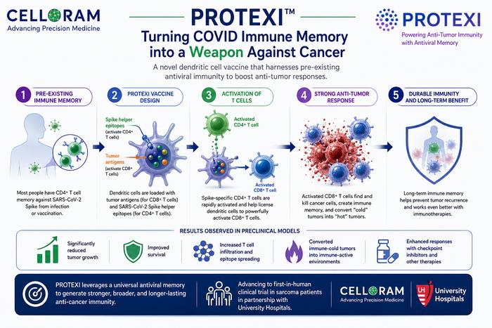 Graphical Abstract