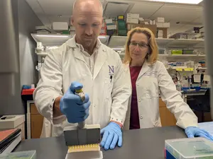 Study authors Drs. Stephanie Eisenbarth and Adam Williams conducting allergy research in their lab at Northwestern University Feinberg School of Medicine