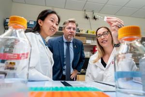 Antisense oligonucleotide strategy reverses HNRNPH2-related neurodevelopmental disorder