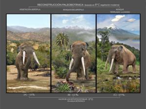 La desaparición de los mastodontes aún pone en riesgo la flora nativa de América del Sur