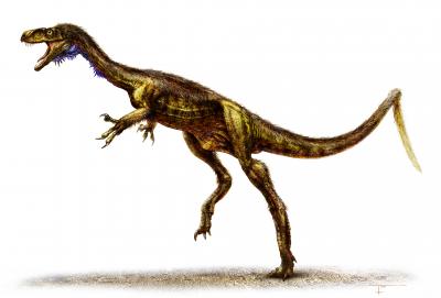 Pint-sized Eodromaeus ('Dawn Runner')