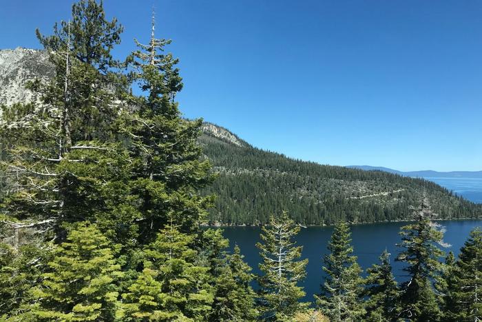 Pollen is a strong indicator of ecosystem health