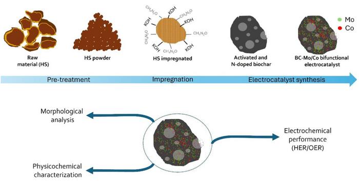 Development of hazelnut shell-derived biochar to support a bifunctional MoCo electrocatalyst for HER/OER in alkaline medium