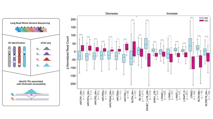 Resolving genetic diversity in mouse strains