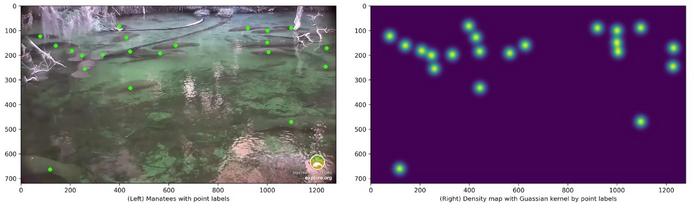 Counting Manatees