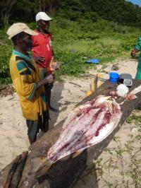 Small Scale Fishers in Rural Area