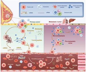 Multi-component liquid biopsy in primary breast cancer.