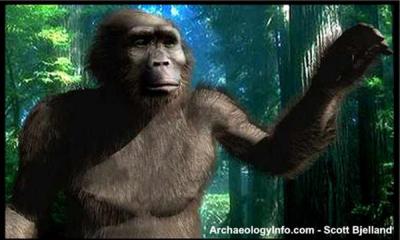 <I>Paranthropus</I>
