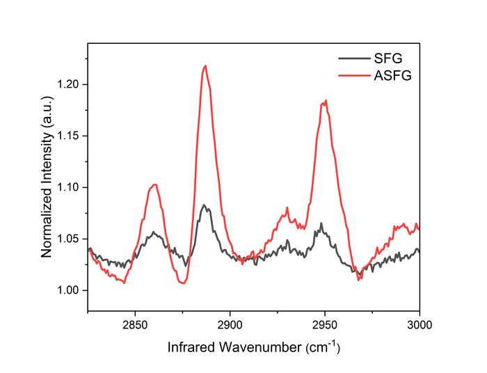 Clearer molecular fingerprints with new technique