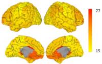 Brain Flexibility Illustration