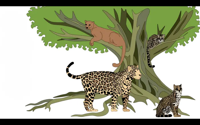 illustration of of animals