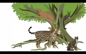 illustration of of animals