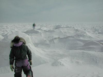 Arctic Aea Ice