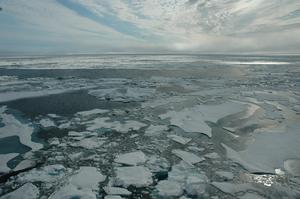 Arctic sea ice