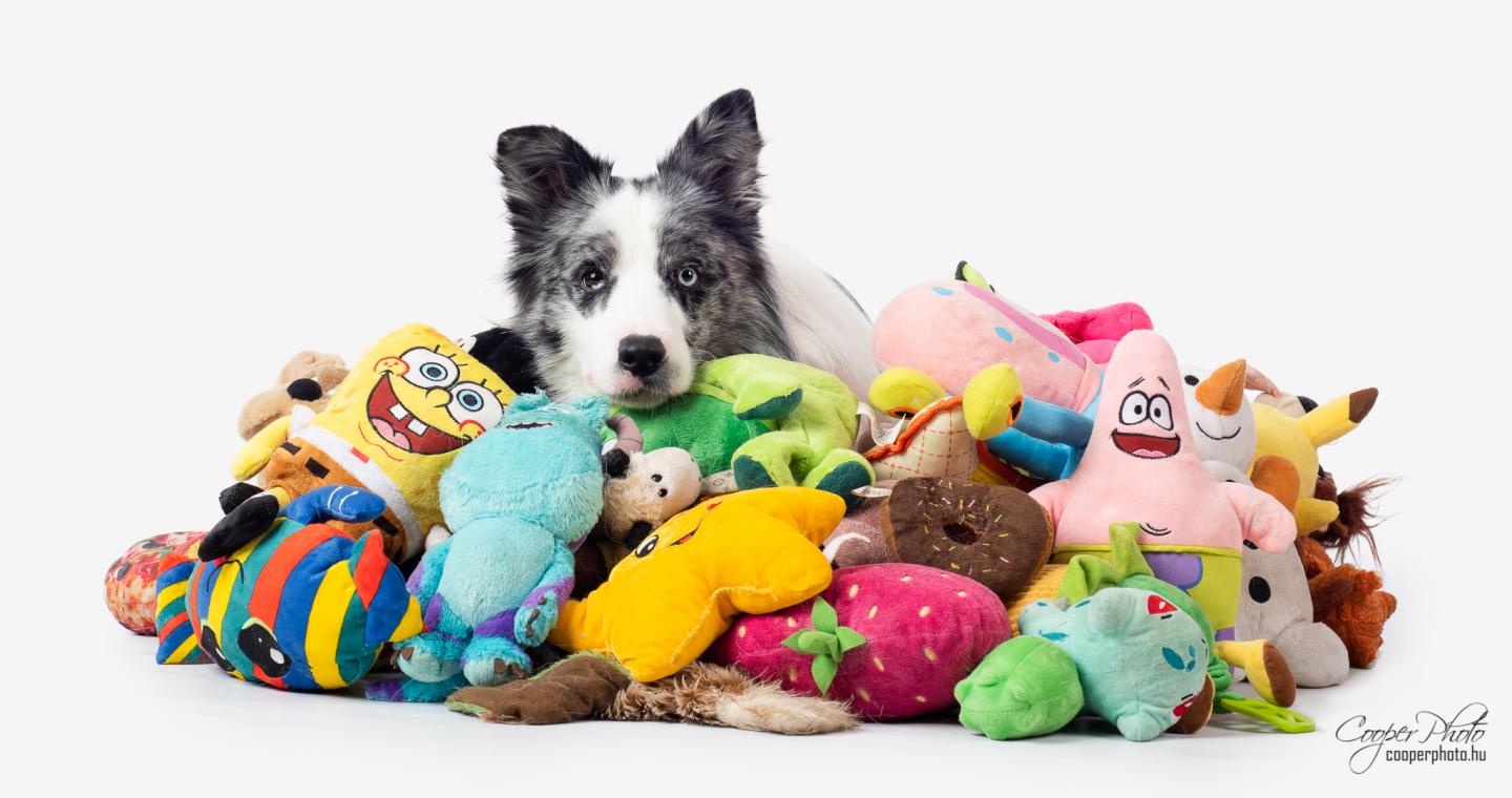 Max among toys