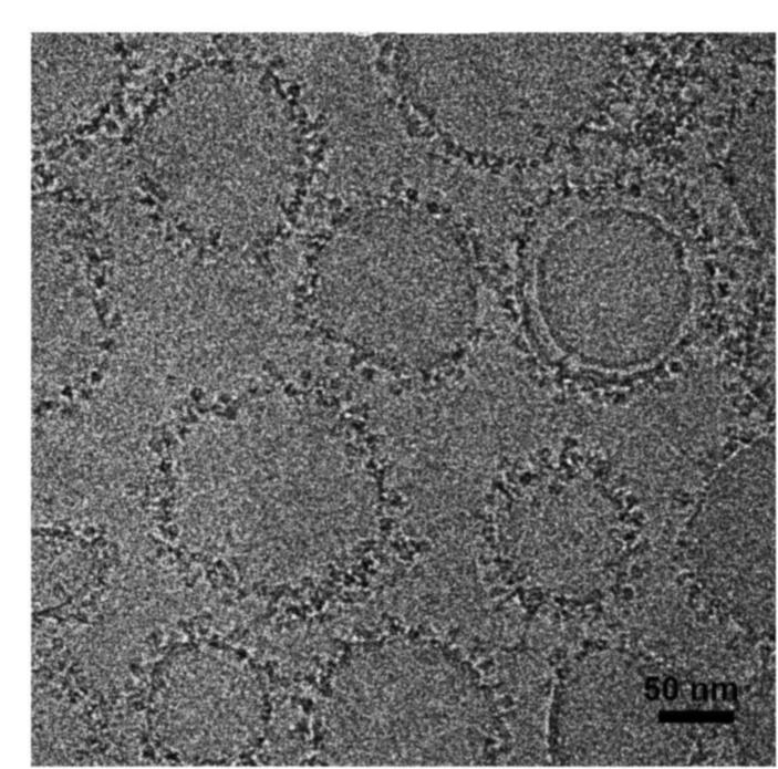 Flu fighter: Nanoparticle-based vaccine effective in preclinical trials