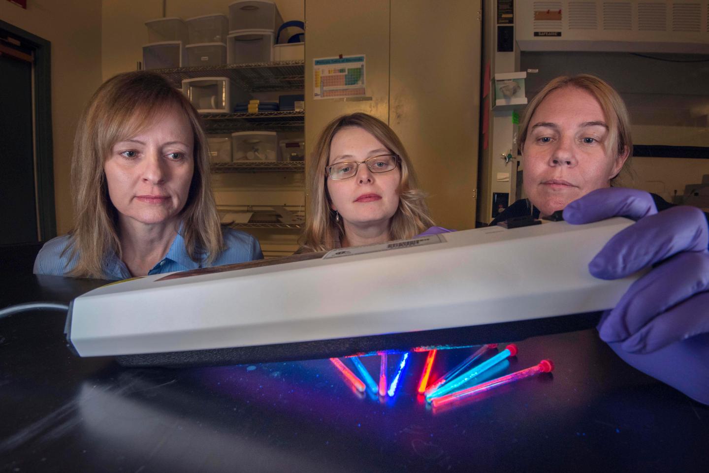 Women rank Sandia Labs among best places to work