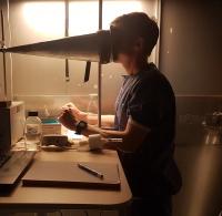 Experiment Set-Up