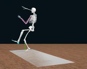 Digital skeleton complete with arm muscles and ligaments