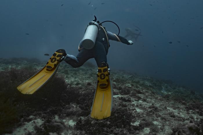 Scuba diver on a reef in the Philippines