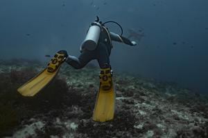 Scuba diver on a reef in the Philippines