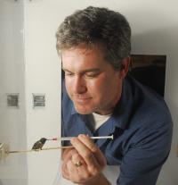 Hummings Birds Can Burn Fructose Equally as Well as Glucose