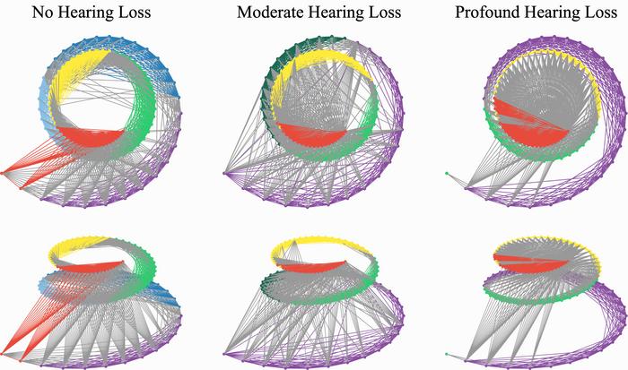 cochlea graphs examples