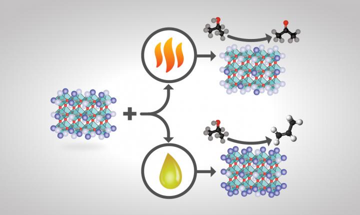 Changing Surface Composition and Product Yields of Perovskite Catalysts