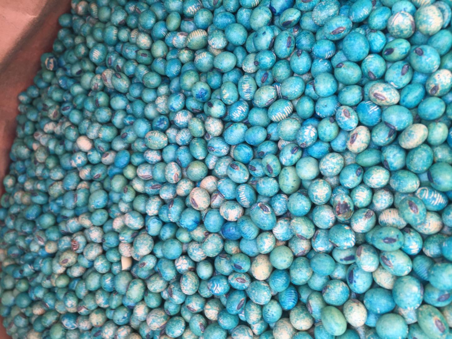 Coated Seeds-2