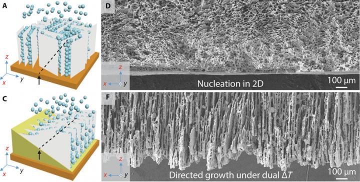 Bidirectional Freeze-Casting