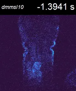 Video 3: Calcium signal in a DmMSL10 knockout plant