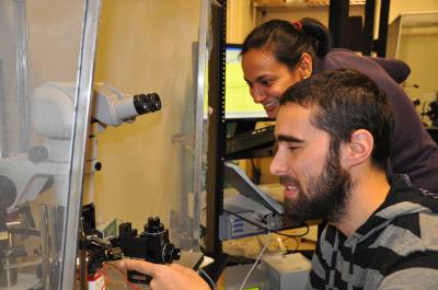 Zev Wisotsky and Anupama Dahanukar, University of California - Riverside