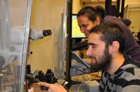 Zev Wisotsky and Anupama Dahanukar, University of California - Riverside