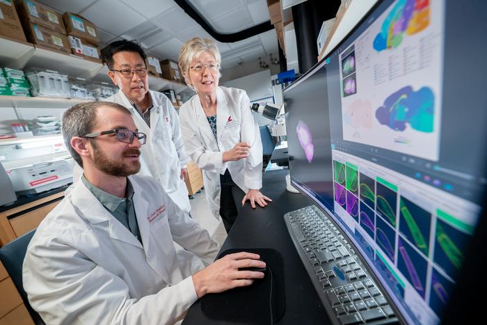 Findings demonstrate how mutation disrupts cell development, driving region-specific brain tumors