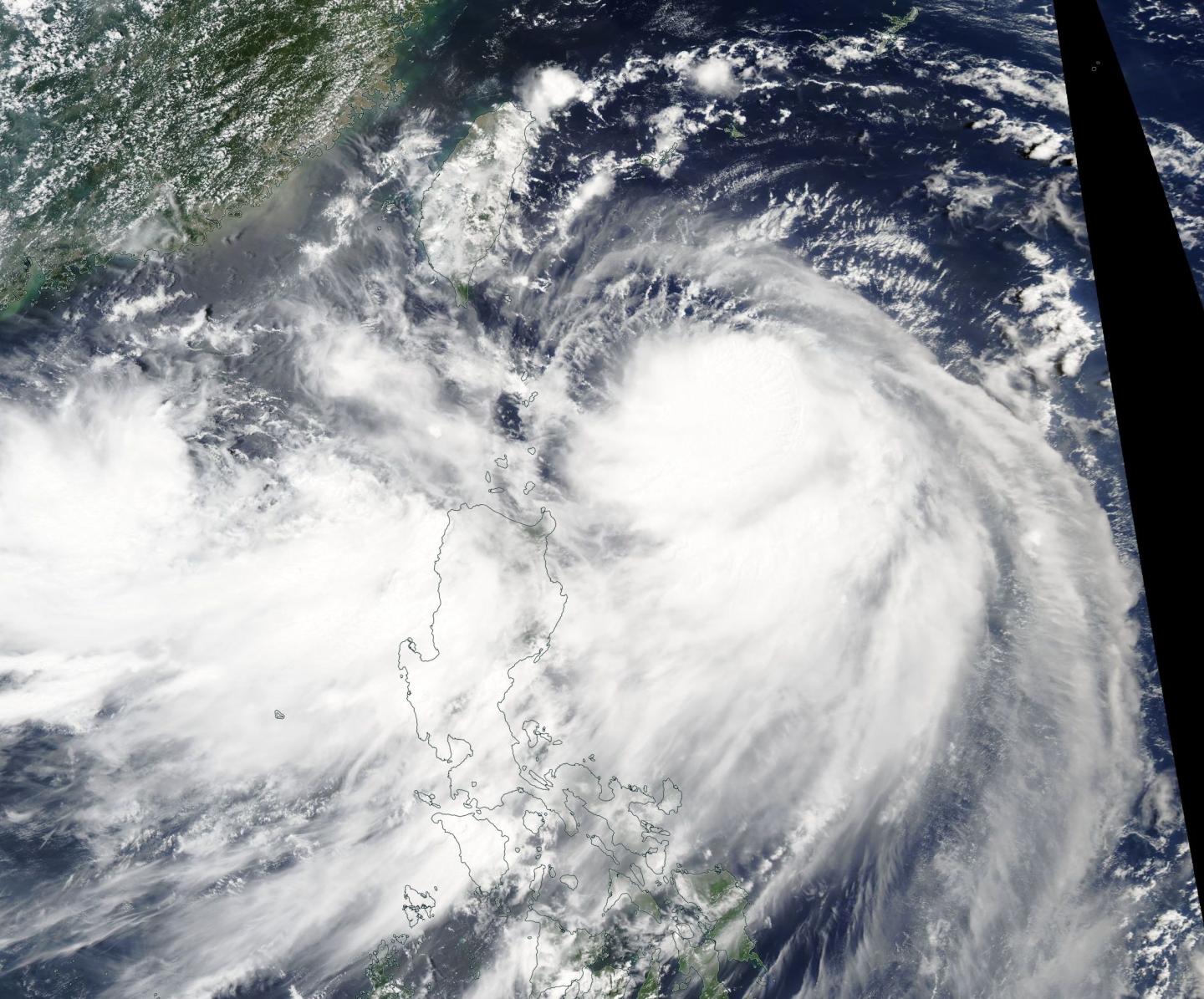 Aqua Image of Nesat