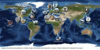 Global Network of Ground Radio Telescopes