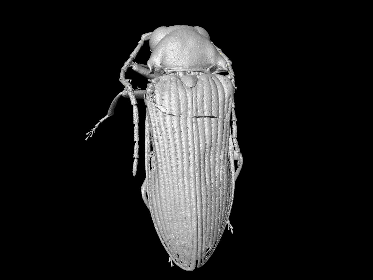 Micro-CT reconstructionR