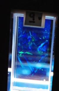 Colloidal Glass in Microgravity