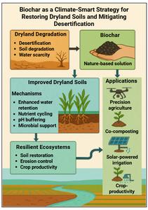 Biochar as a climate-smart strategy for restoring dryland soils and mitigating desertification