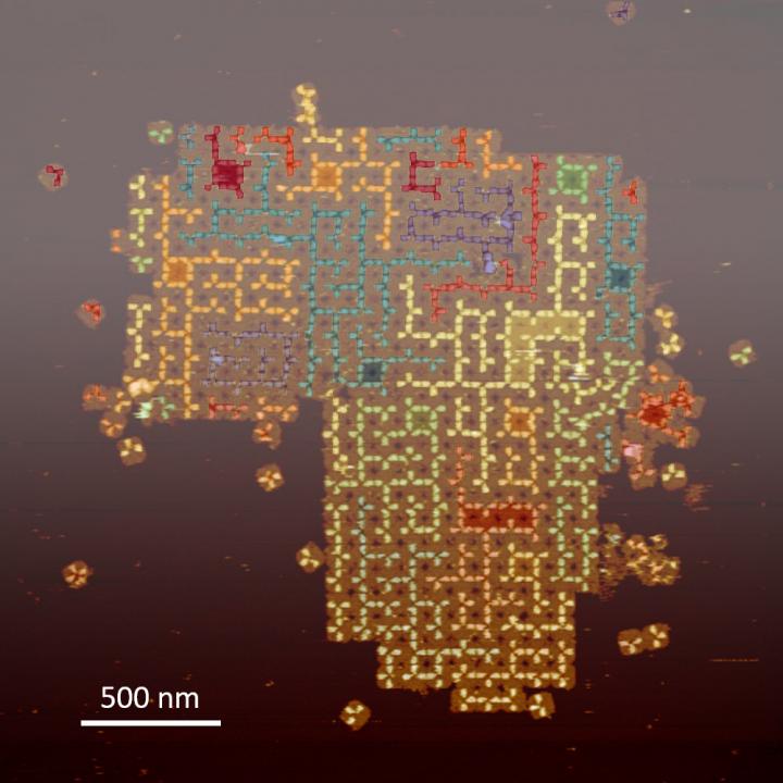 Random Tree Structures