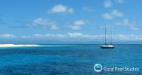 Multiple Communities, One Reef (1 of 2)