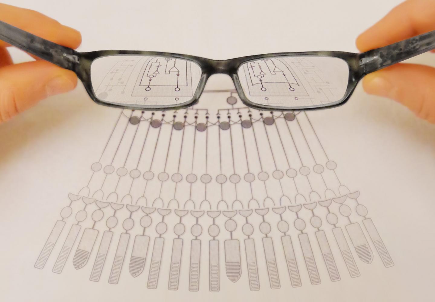 Eye Cells Multiply