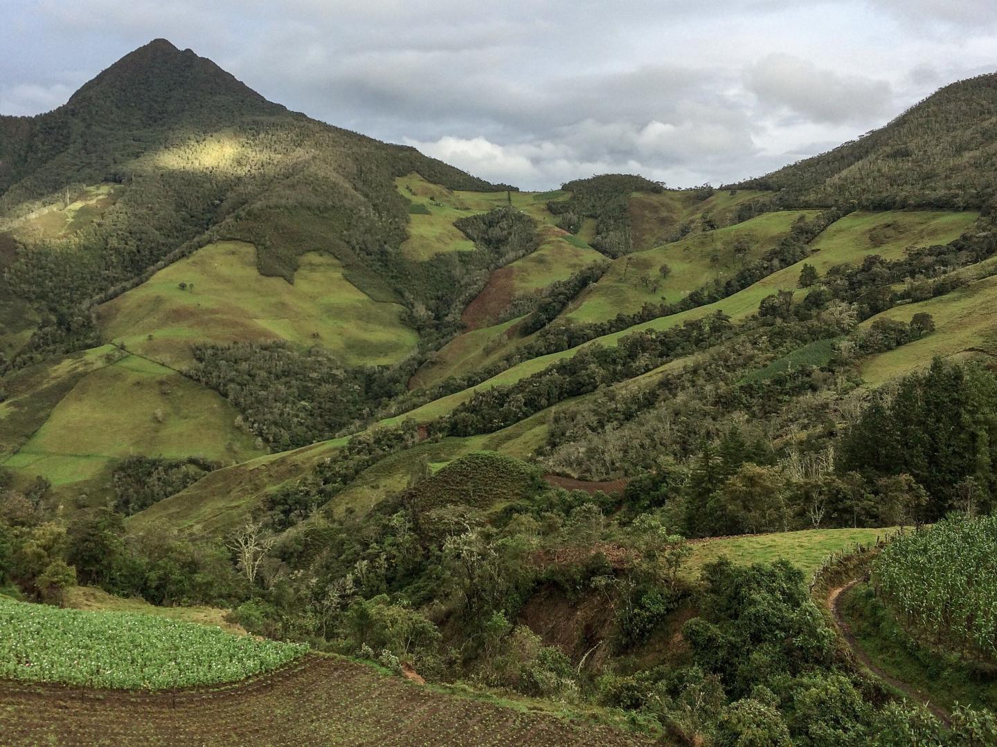 Colombian deforestation