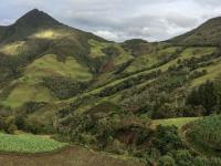 Colombian Deforestation