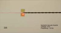 Torsional Actuation