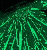 Cosmic Impact, Mullite