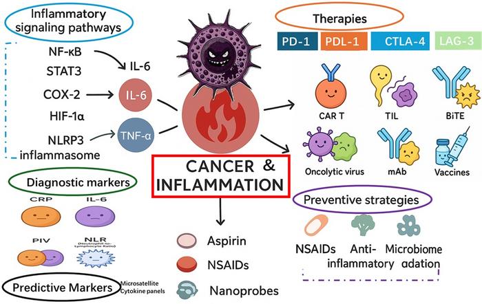 A schematic illustration presenting a comprehensive overview of the intricate bidirectional relationship between cancer and inflammation