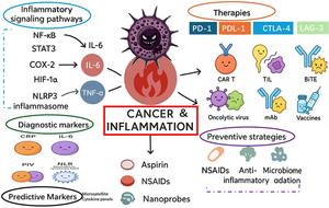 A schematic illustration presenting a comprehensive overview of the intricate bidirectional relationship between cancer and inflammation