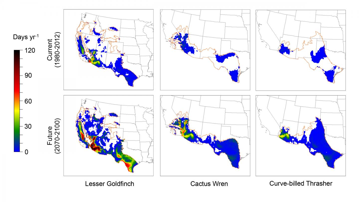Maps of Modeled Lethal Dehydration Risk for Three Songbird Species