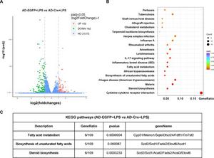 RNA sequencing data of peritoneal macrophages from the AD-EGFP+LPS and AD-Cre + LPS groups.